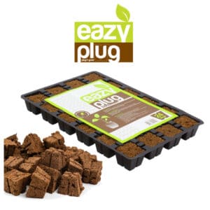 Eazy Plug Gyökereztető Kocka